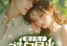求妻子儿子选白月光,我走你们哭啥小说的全文免费阅读链接-有书评
