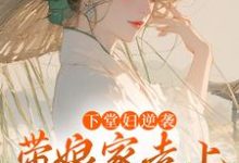 沈韵小说下堂妇逆袭，带娘家走上人生巅峰章节免费阅读-有书评