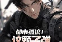 都市孤狼！这颗子弹为何如此狂野这本小说怎么样？免费在线阅读试试-有书评