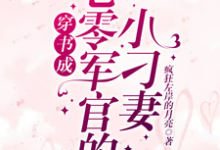 穿书成七零军官的小刁妻小说的无弹窗阅读体验,寻找免费阅读网站-有书评