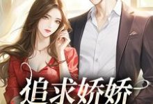 求推荐可以免费阅读追求娇娇只需一颗糖小说的网站-有书评