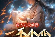 求闯入九天仙界，一不小心成了仙王小说的全文免费阅读链接-有书评