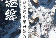 在线寻找港综：从吹鸡小弟开始的称霸之路小说的无删减版本-有书评