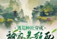 《逃荒种田:穿成被家暴致死的农妇》小说免费阅读完整版-有书评