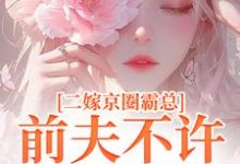 二嫁京圈霸总，前夫不许来捣乱小说完结了吗？在哪里可以免费读到？-有书评