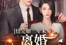 结完婚三年未见,离婚他急红眼(姜夏初陆怀宴)完整版在线免费阅读-有书评