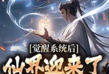 小说《觉醒系统后,仙界迎来了互联网时代》完整版在线章节免费阅读-有书评