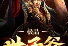 已完结小说《极品世子爷》章节在线阅读-有书评