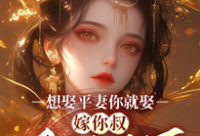 想娶平妻你就娶,嫁你叔凤临天下免费阅读,想娶平妻你就娶,嫁你叔凤临天下桑非晚魏阙-有书评