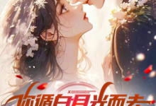 《你循白月光而去,现在说后悔?》赵文完整版小说免费阅读-有书评