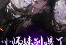 完结版《小师妹别喂了，宗门已无敌！》免费阅读-有书评