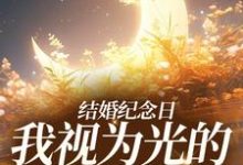 尹禾月宋屿舟完整版小说《结婚纪念日，我视为光的老公出轨了》免费阅读-有书评
