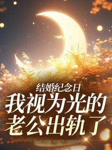 尹禾月宋屿舟完整版小说《结婚纪念日，我视为光的老公出轨了》免费阅读
