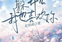 《躲什么，我也喜欢你》全集免费在线阅读（顾肆一武云云）-有书评