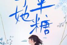 寻找能够免费阅读予她半糖小说的平台-有书评