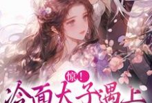 完整版《惊!冷面太子遇上刁蛮女杀手》小说免费阅读-有书评