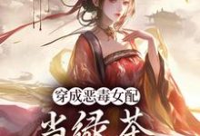 已完结小说《穿成恶毒女配，当绿茶这么有趣？》章节免费阅读-有书评