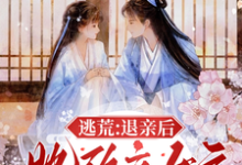 逃荒:退亲后,她改立女户招赘婿小说无弹窗阅读的网站推荐-有书评