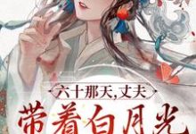 寻找六十那天,丈夫带着白月光回府了小说的最新更新章节-有书评