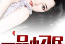 一品小刁民小说的免费阅读版本在哪里可以找到？-有书评
