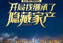 医婿崛起：开局我继承了隐藏家产完整版小说，医婿崛起：开局我继承了隐藏家产周毅顾天心-有书评