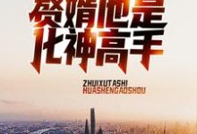 赘婿他是化神高手这本小说完结了吗？免费查看最新章节-有书评