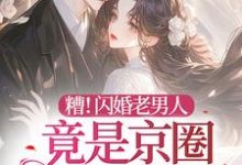 《糟!闪婚老男人竟是京圈太子爷》顾晚晚傅野完整版小说免费阅读-有书评