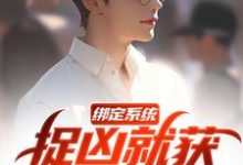 白潇小说完结版在线阅读,绑定系统,捉凶就获无限奖励免费看-有书评