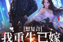 已完结小说《想复合?我重生已嫁超级豪门》最新章节-有书评