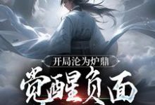 叶不凡小说开局沦为炉鼎,觉醒负面逆转系统在线阅读章节-有书评