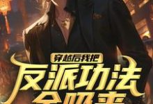 穿越后我把反派功法全吸来最新章节，穿越后我把反派功法全吸来免费阅读-有书评