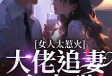 女人太惹火,大佬追妻有点甜宋苒小说在线章节免费阅读-有书评