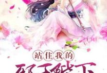 求站住，我的邪王陛下小说的全文免费阅读链接-有书评