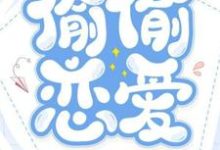 完结版《偷偷恋爱》章节阅读-有书评