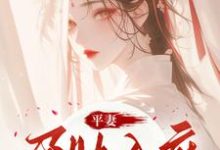平妻孕肚入府，她休夫绝不原谅宋徽音，平妻孕肚入府，她休夫绝不原谅章节在线阅读-有书评