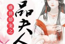 《盛世娇宠之一品夫人》小说免费阅读完整版-有书评