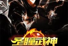 都市圣瞳武神免费阅读,都市圣瞳武神章节在线阅读-有书评