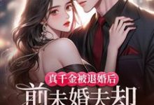 秦窈娄枭完整版小说免费阅读-有书评