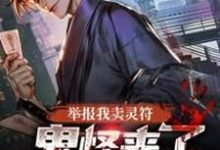 免费看举报我卖灵符，鬼怪来了你哭什么？小说的网站有哪些？-有书评