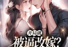 开局就被逼改嫁?我转身去寻夫小说无弹窗阅读的网站推荐-有书评