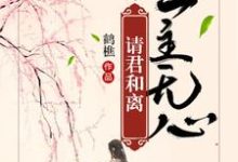 慕容念梅文锦完整版《爱是心头三分血，不至离别不肯言》小说免费阅读-有书评