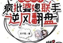 闺蜜双穿:疯批婆媳联手逆风翻盘小说有没有完整的免费版本在线阅读?-有书评