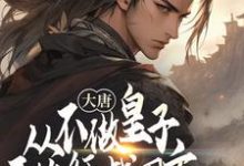 小说完整版《大唐：从不做皇子开始征战四方》免费阅读-有书评