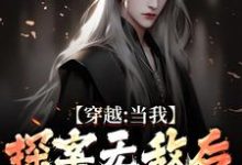 苏清和完整版小说免费阅读-有书评
