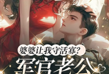 哪里能找到婆婆让我守活寡?军官老公回来了小说的最新更新和免费章节?-有书评