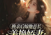 《换亲后嫁他首长，美艳娇妻赢麻了》全集免费在线阅读（沈叶柠陆正骁）-有书评