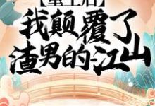 小说《重生后,我颠覆了渣男的江山!》完整版在线章节免费阅读-有书评