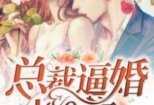 总裁逼婚100次小说免费资源，总裁逼婚100次在线阅读-有书评