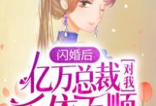 闪婚后,亿万总裁对我千依百顺陆清清盛明羲小说在线章节目录阅读最新章节-有书评
