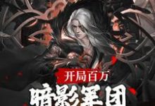求开局百万暗影军团!缔造不朽帝朝小说免费资源-有书评